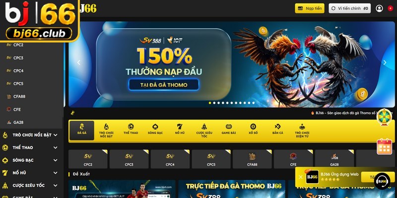 Đá gà BJ66 là sự lựa chọn số 1 cho những ai đam mê bộ môn chọi gà