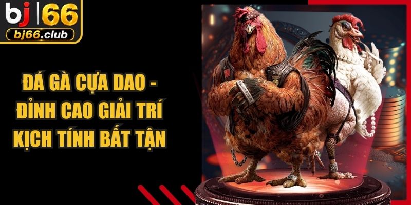 Đá Gà Cựa Dao - Đỉnh Cao Giải Trí Kịch Tính Bất Tận
