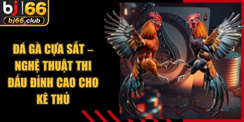 Đá Gà Cựa Sắt – Nghệ Thuật Thi Đấu Đỉnh Cao Cho Kê Thủ