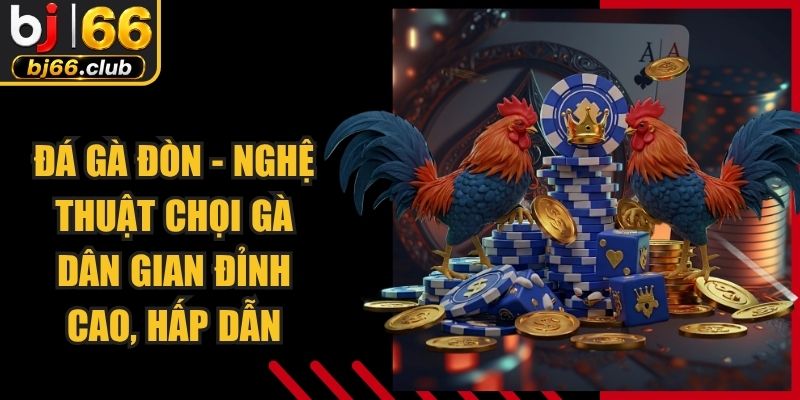 Đá Gà Đòn - Nghệ Thuật Chọi Gà Dân Gian Đỉnh Cao, Hấp Dẫn