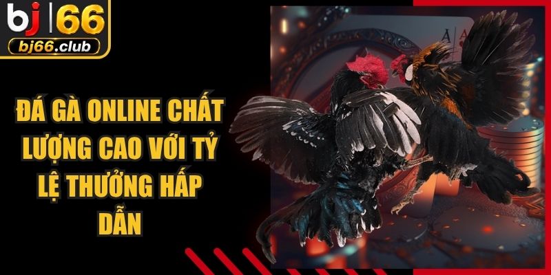 Đá Gà Online Chất Lượng Cao Với Tỷ Lệ Thưởng Hấp Dẫn