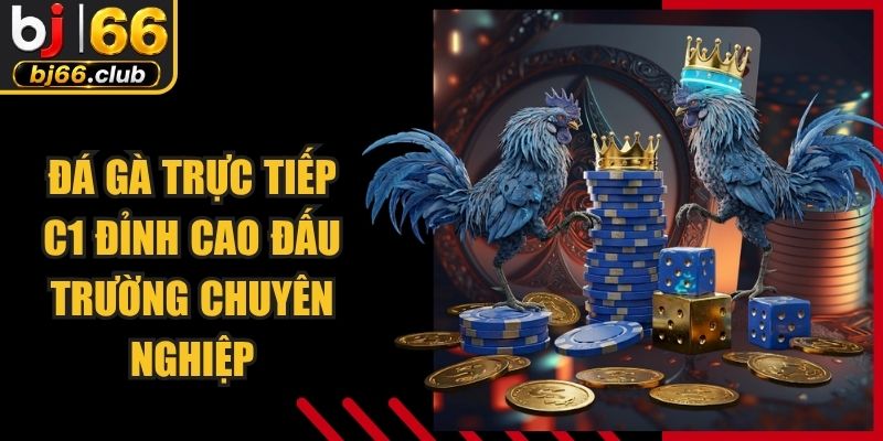 Đá Gà Trực Tiếp C1 Đỉnh Cao Đấu Trường Chuyên Nghiệp