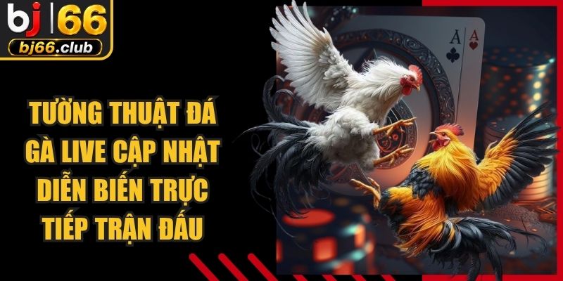 Tường Thuật Đá Gà Live Cập Nhật Diễn Biến Trực Tiếp Trận Đấu